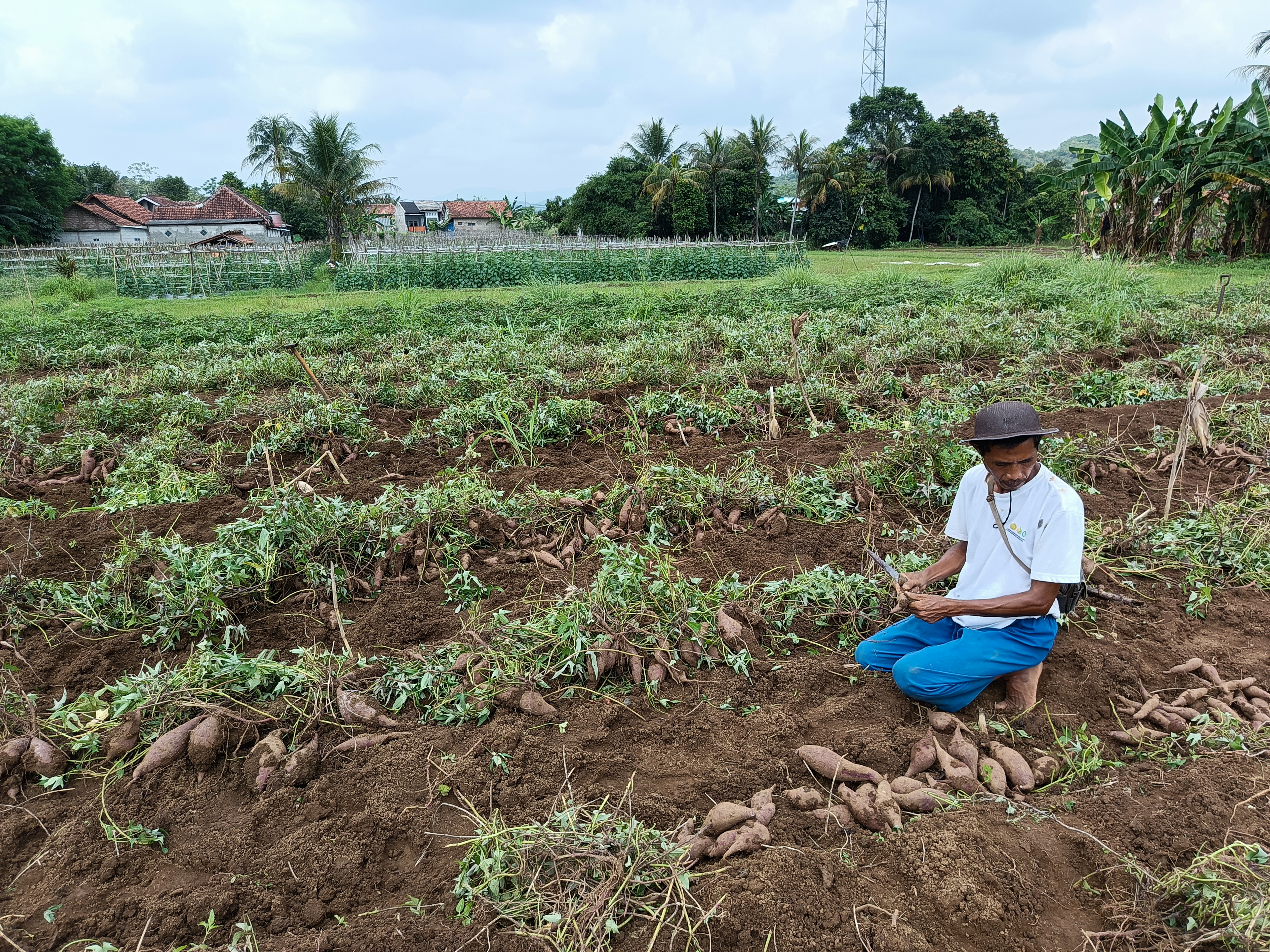 FreeBootstrap.net image placeholder